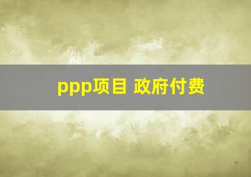 ppp项目 政府付费